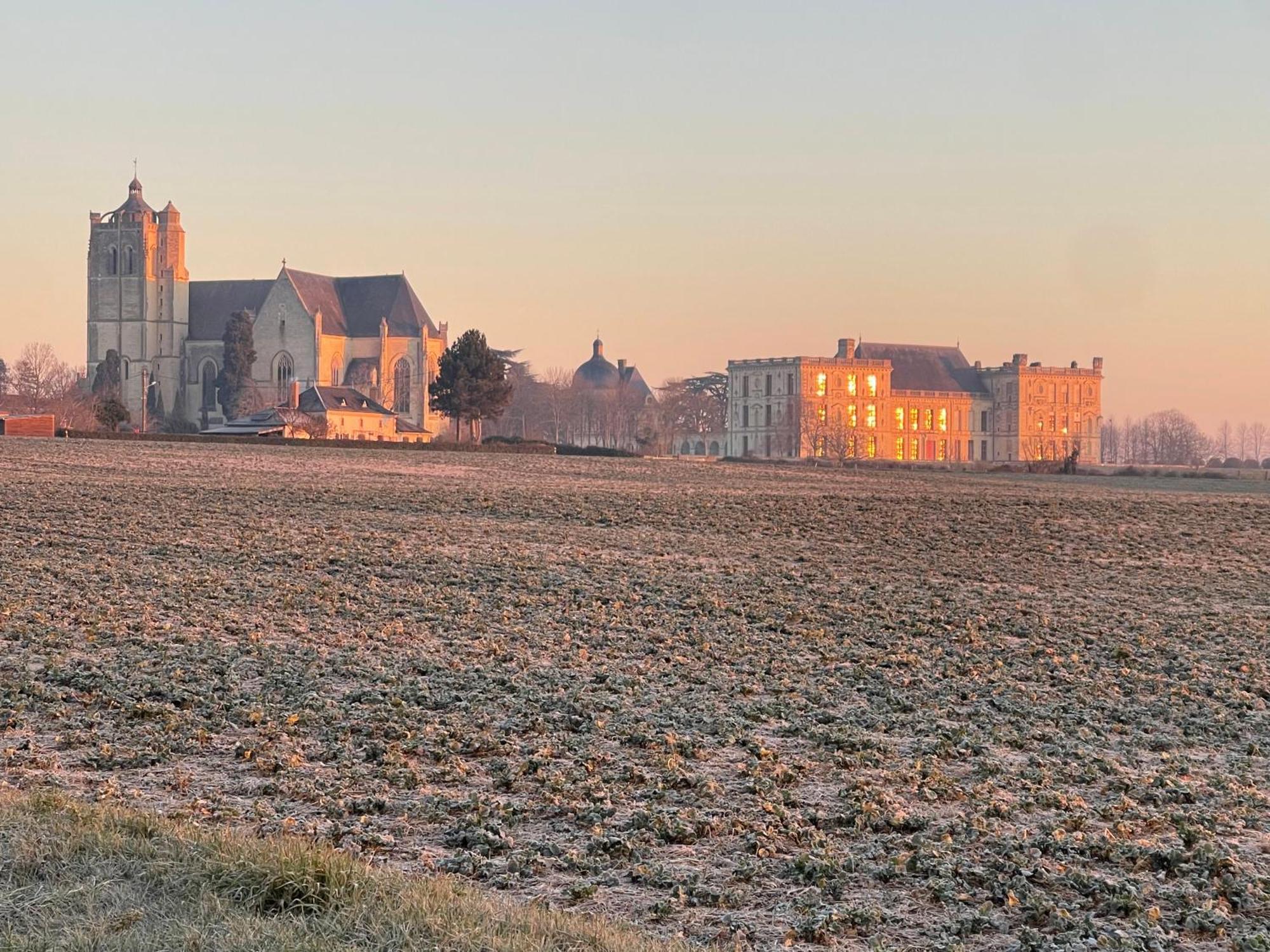 Le Chateau De Leugny Oiron Dış mekan fotoğraf
